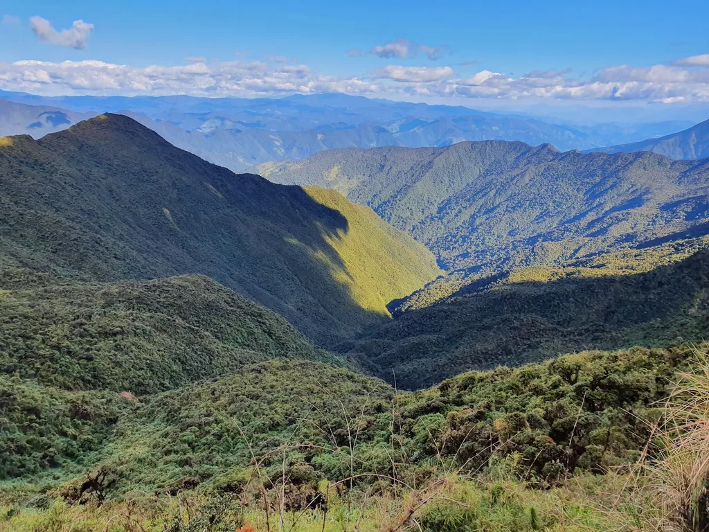 Cerros: guardianes naturales del equilibrio ambiental