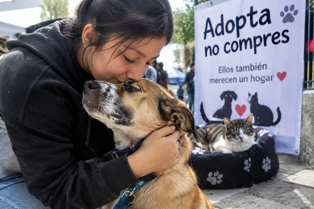 Entre el abandono y la adopción: perros y gatos enfrentan una dura realidad en Edomex